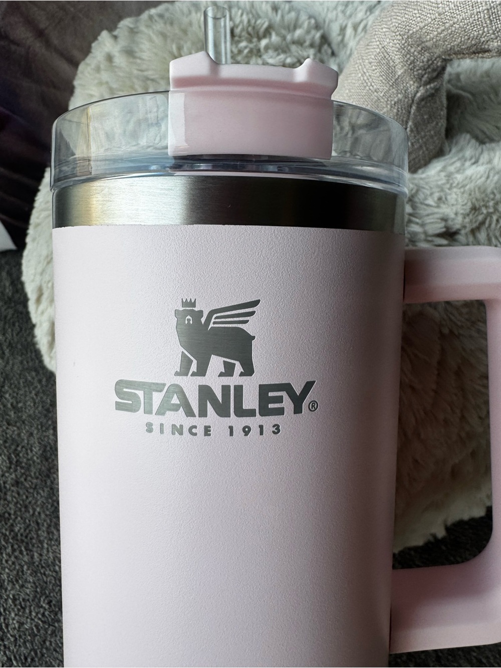 Stanley - Picture 2 of 6